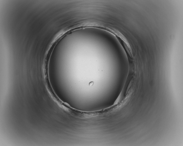 X0000116390997200912021536