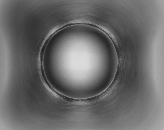 X0000116390998200912021536
