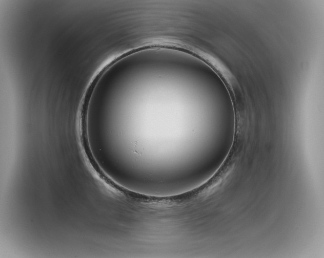 X0000116390999200912021536