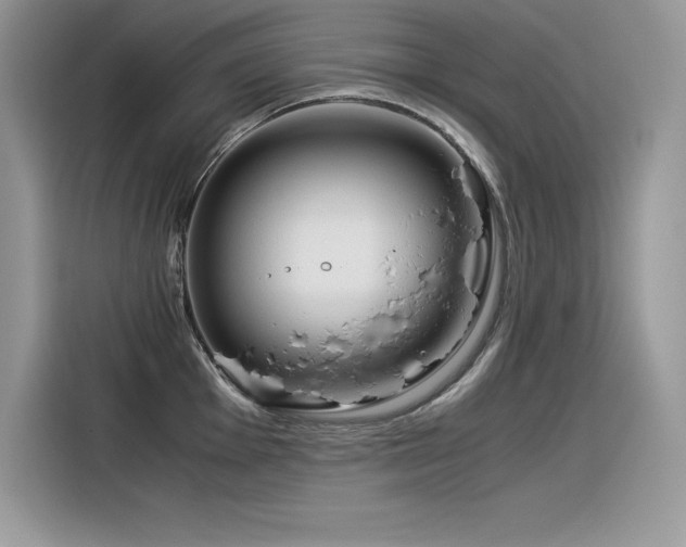X0000116391001200912021536