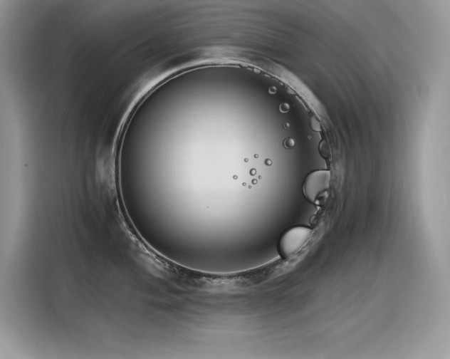 X0000116391004200912021536