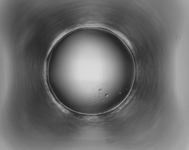 X0000116391006200912021536