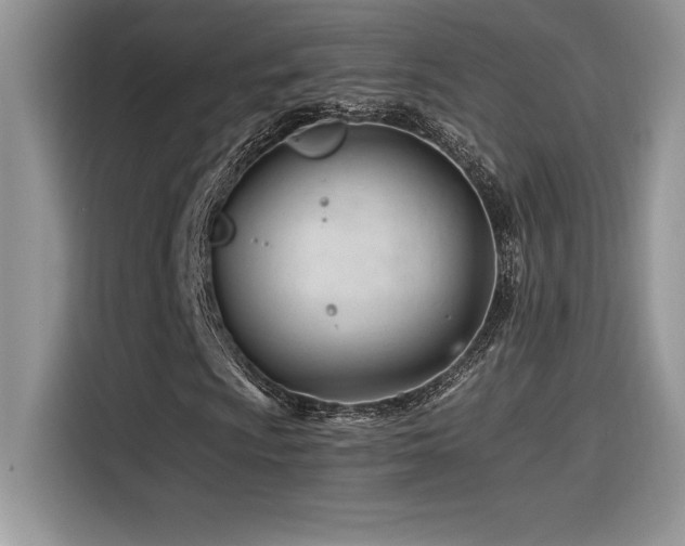 X0000116391009200912021535