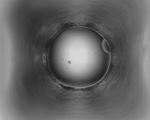 X0000116391010200912021535