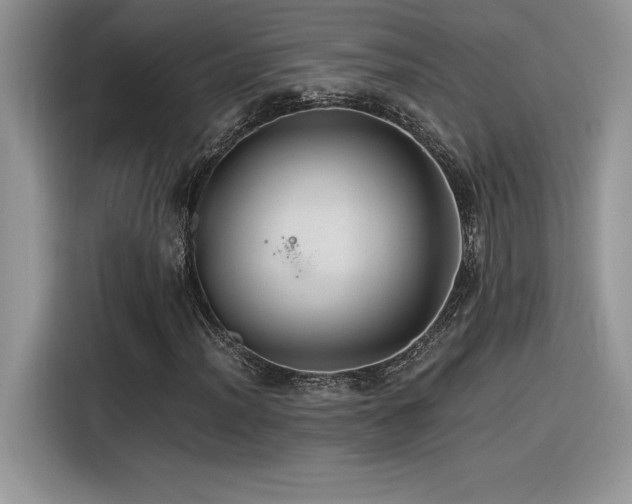 X0000116391012200912021535