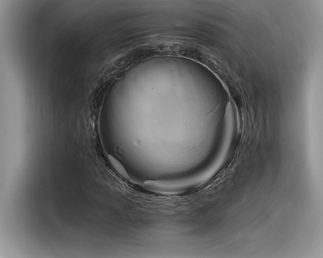 X0000116391013200912021535