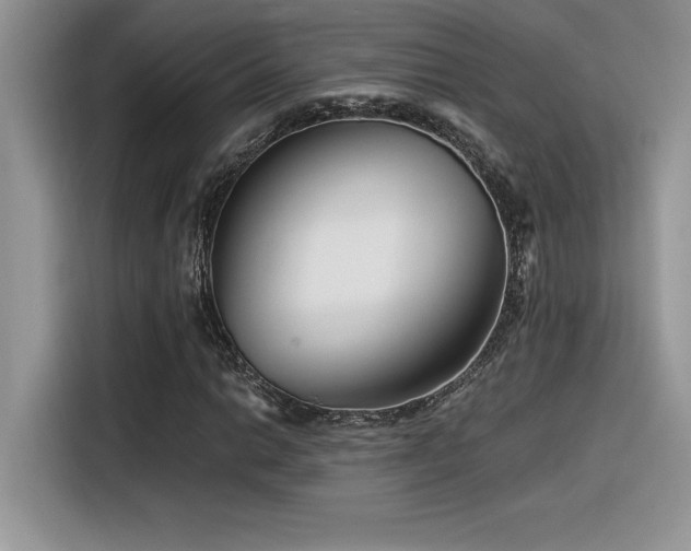 X0000116391014200912021535