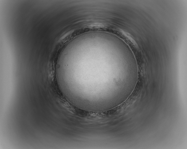 X0000116391015200912021535