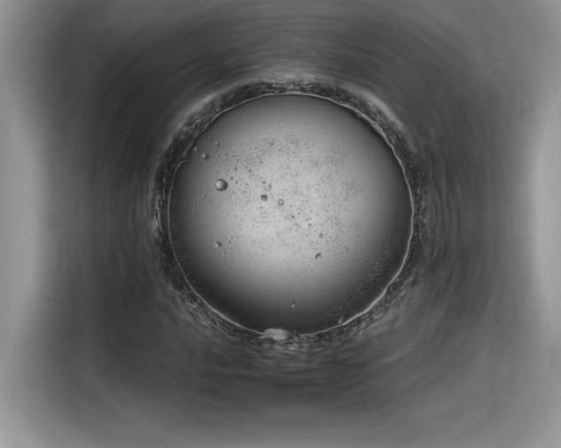 X0000116391016200912021535