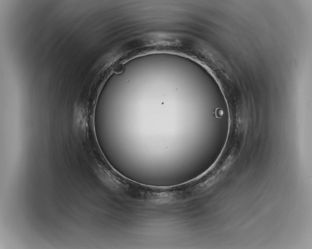 X0000116391017200912021535