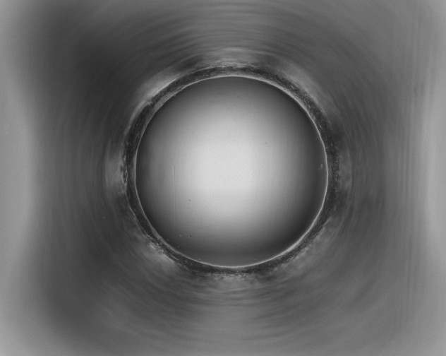 X0000116391018200912021535