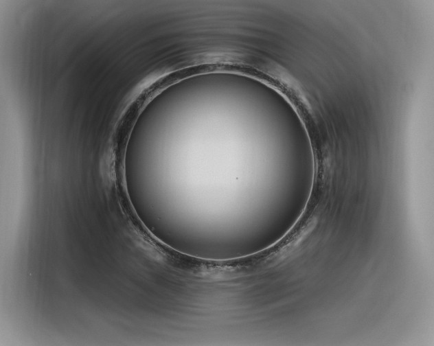 X0000116391019200912021535