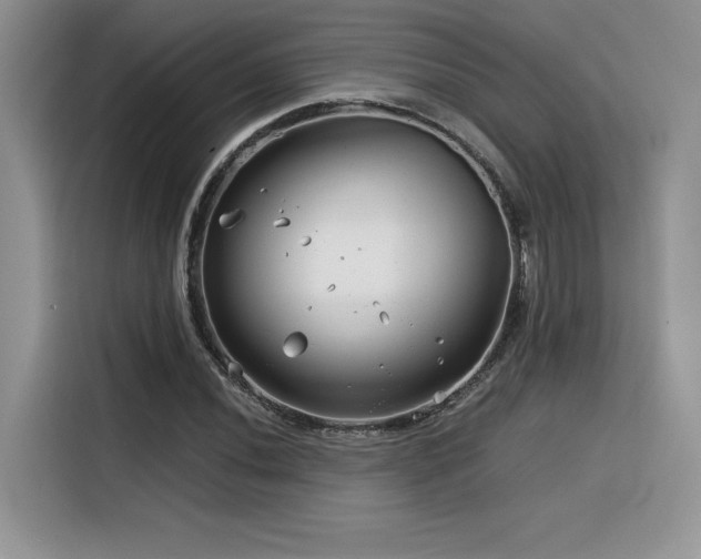 X0000116391020200912021535