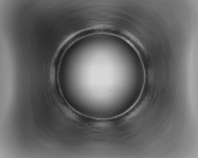 X0000116391021200912021535
