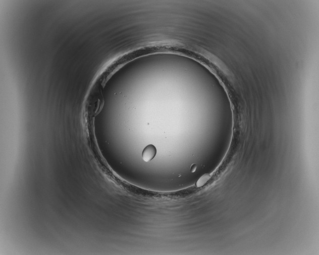 X0000116391022200912021535