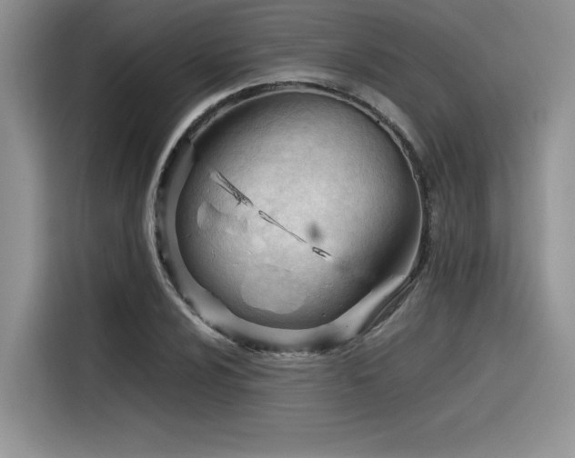 X0000116391024200912021535