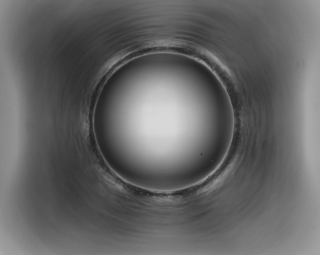 X0000116391025200912021535