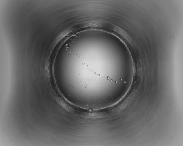 X0000116391026200912021535