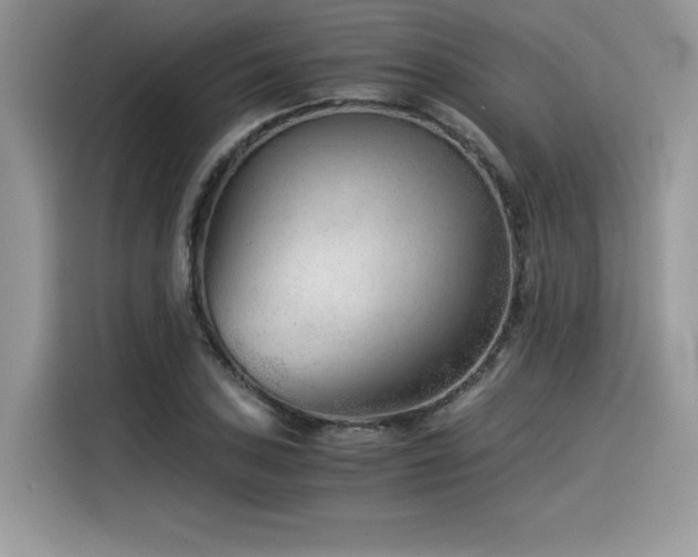 X0000116391027200912021535