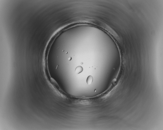 X0000116391028200912021535