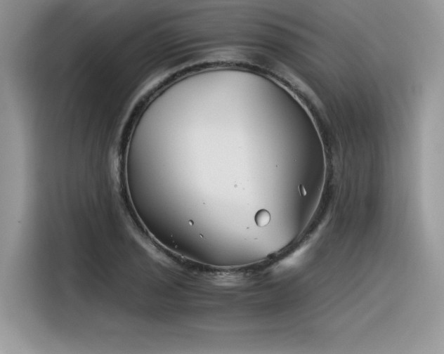 X0000116391029200912021535