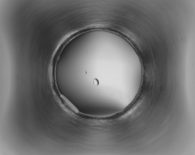 X0000116391030200912021535