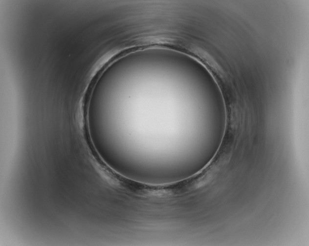X0000116391031200912021535