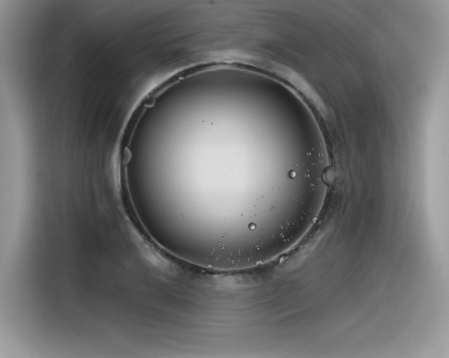 X0000116391032200912021535