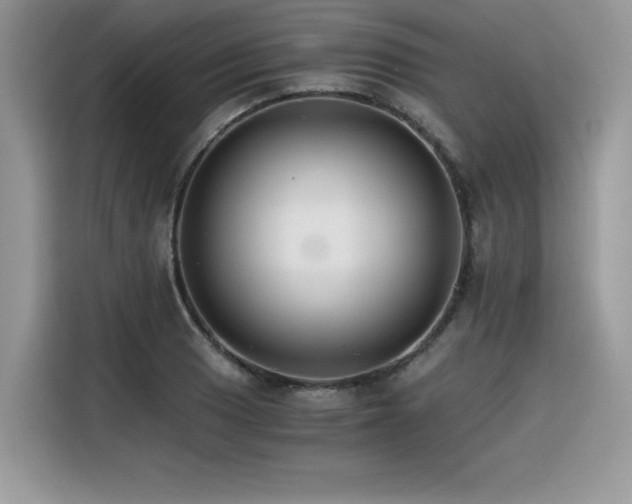 X0000116391033200912021535