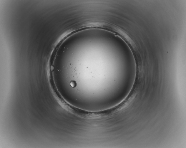 X0000116391034200912021535