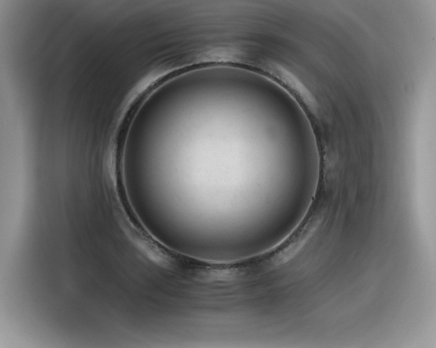 X0000116391035200912021535