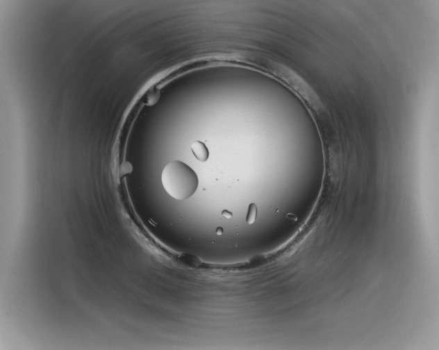 X0000116391036200912021535
