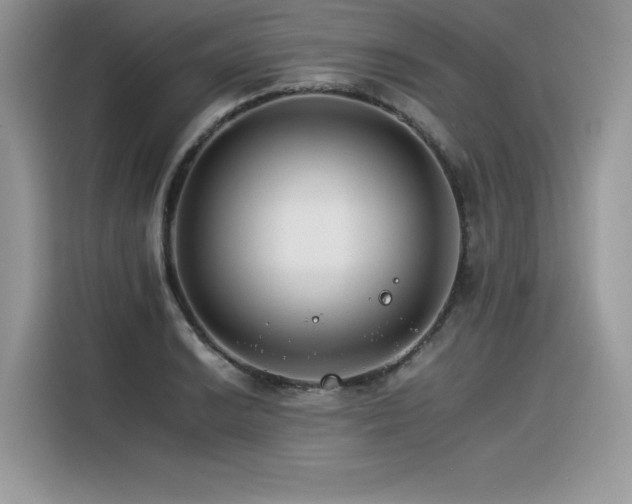 X0000116391038200912021535