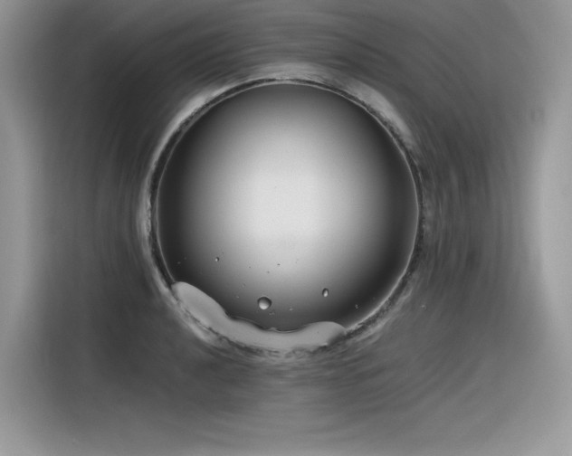 X0000116391040200912021536
