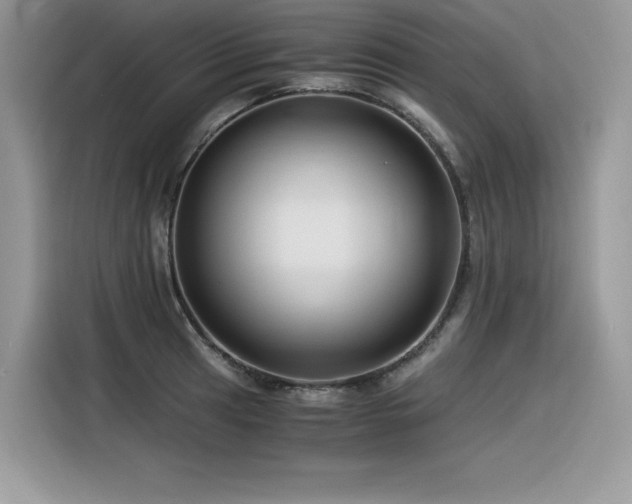 X0000116391041200912021536