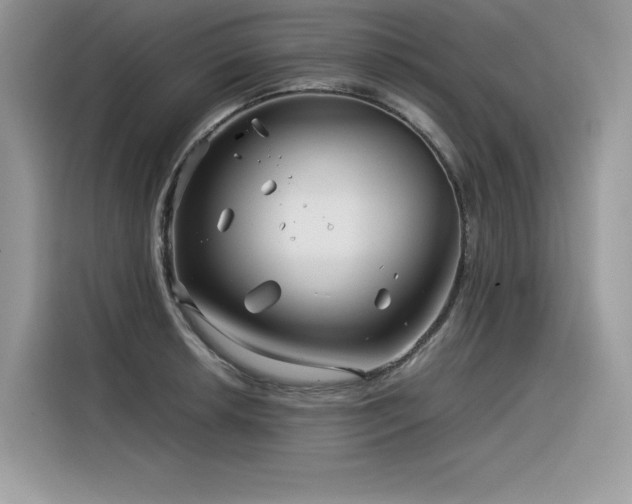 X0000116391042200912021536