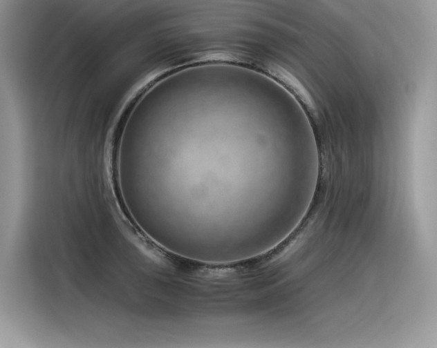 X0000116391043200912021536