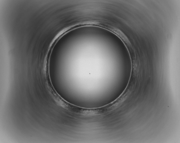 X0000116391044200912021536