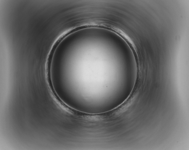 X0000116391045200912021536
