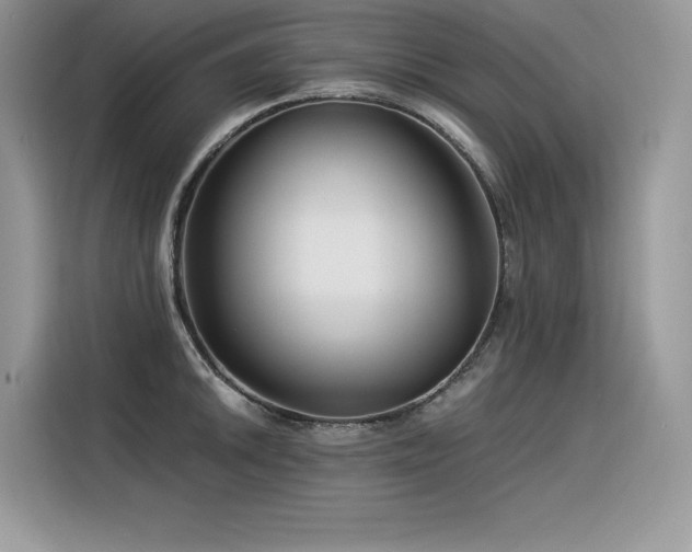 X0000116391046200912021536