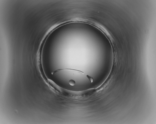 X0000116391048200912021536