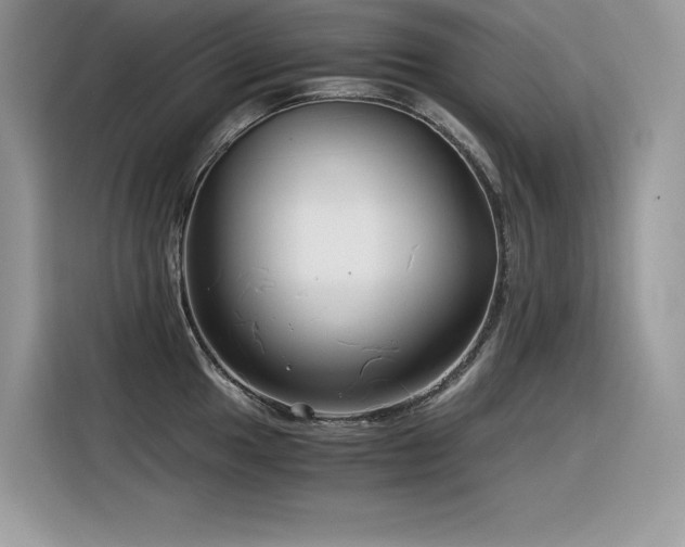 X0000116391049200912021536