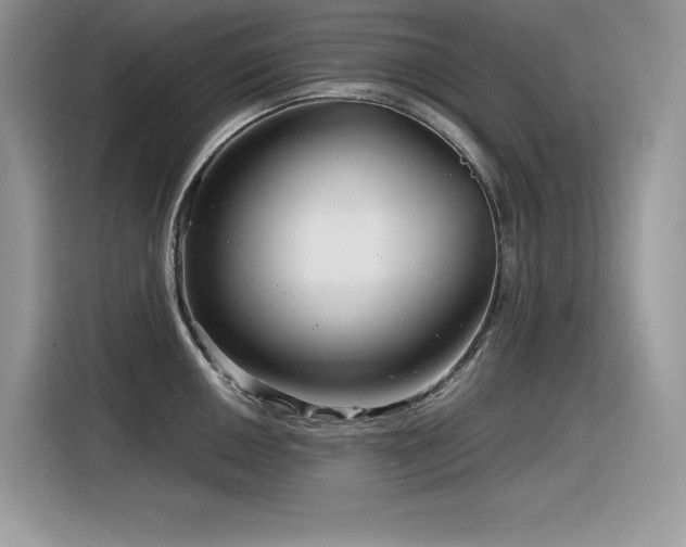 X0000116391050200912021536