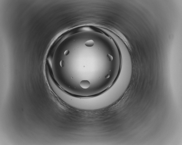 X0000116391051200912021536