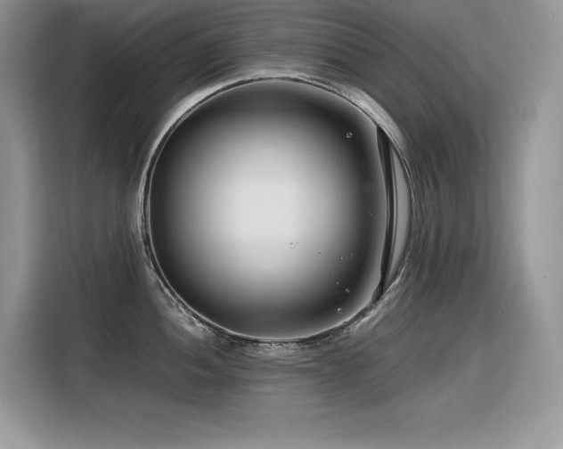 X0000116391052200912021536