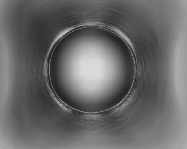 X0000116391053200912021536