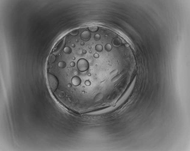 X0000116391055200912021536