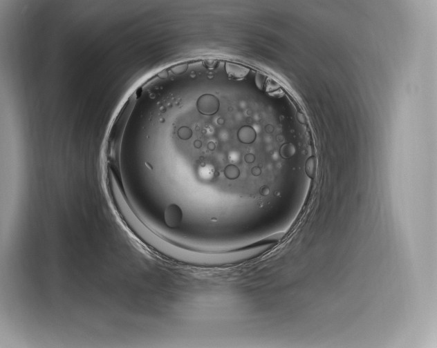 X0000116391056200912021536