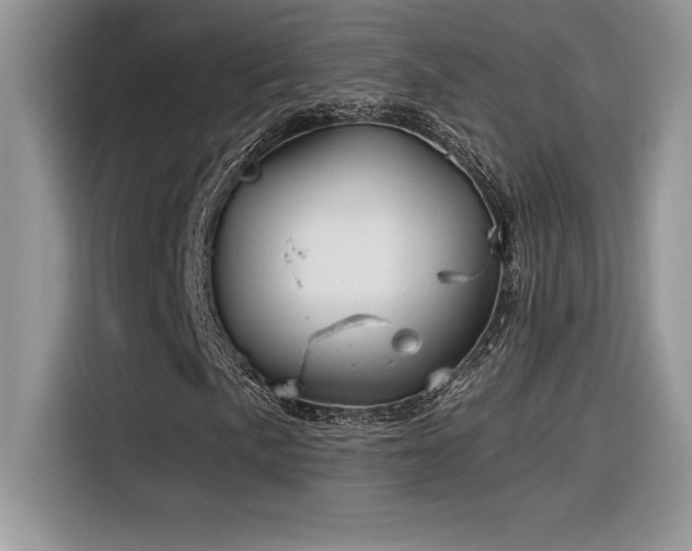 X0000116391057200912021535