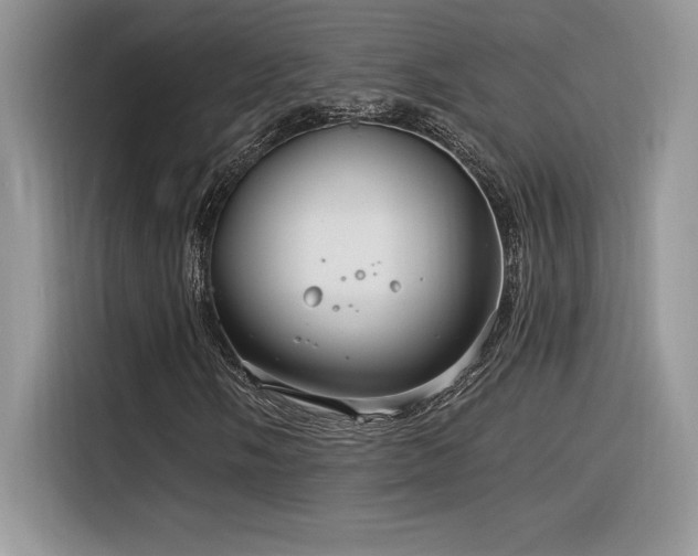 X0000116391058200912021535